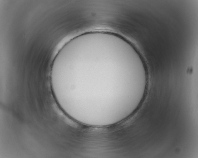 X0000111051374200906251109