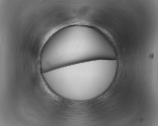 X0000111051375200906251109