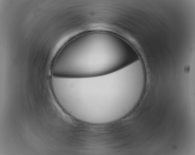 X0000111051376200906251109