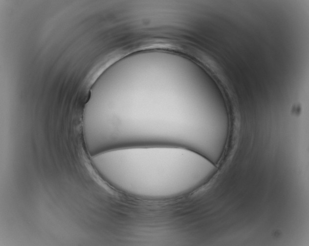 X0000111051377200906251109
