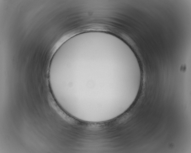 X0000111051378200906251109