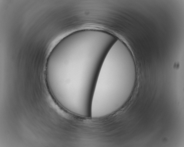 X0000111051379200906251109