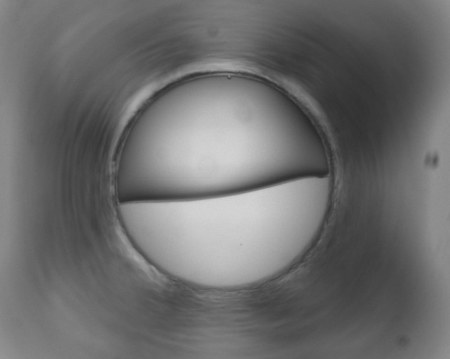X0000111051380200906251108