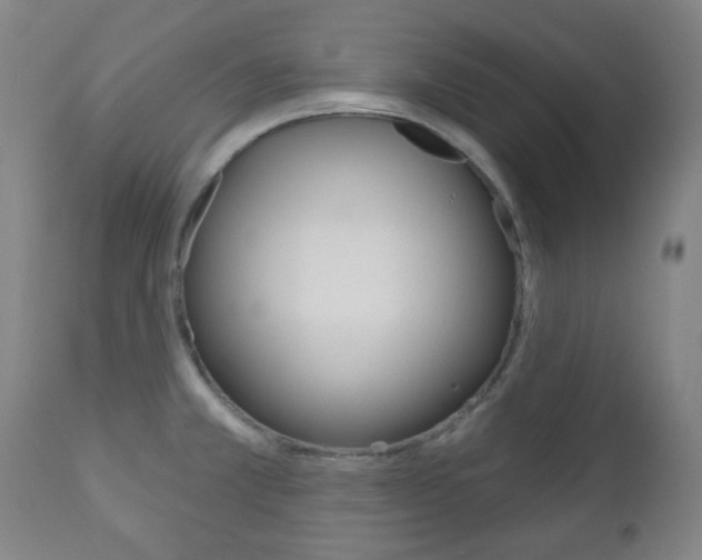 X0000111051381200906251108