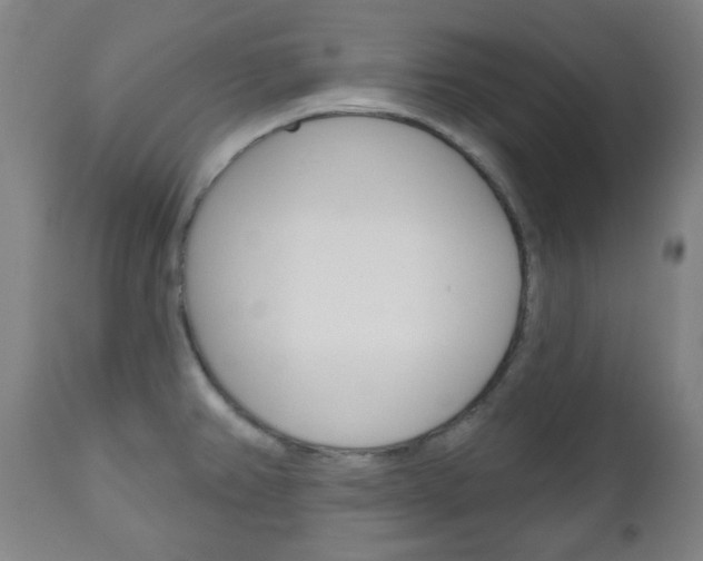 X0000111051382200906251108