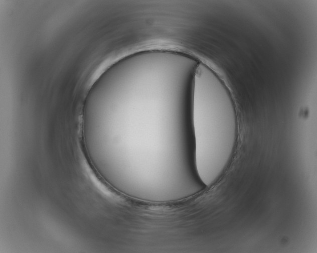 X0000111051383200906251108
