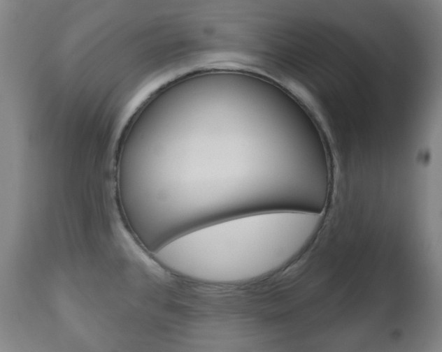 X0000111051384200906251108