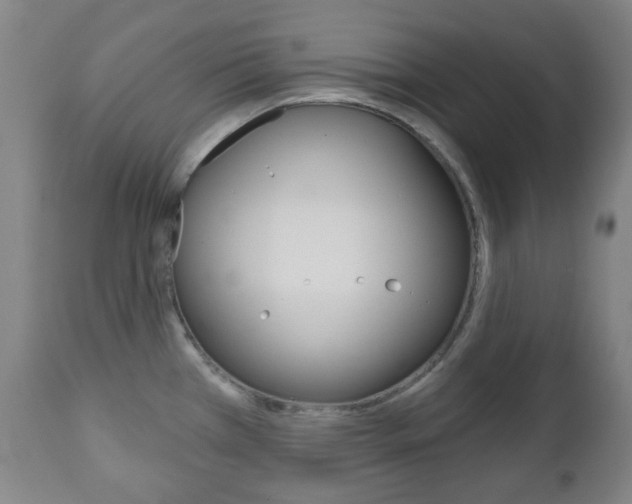 X0000111051385200906251108