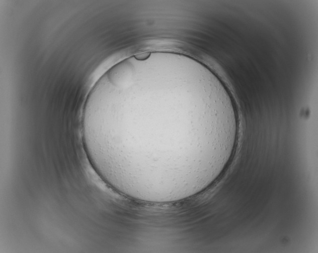 X0000111051386200906251108