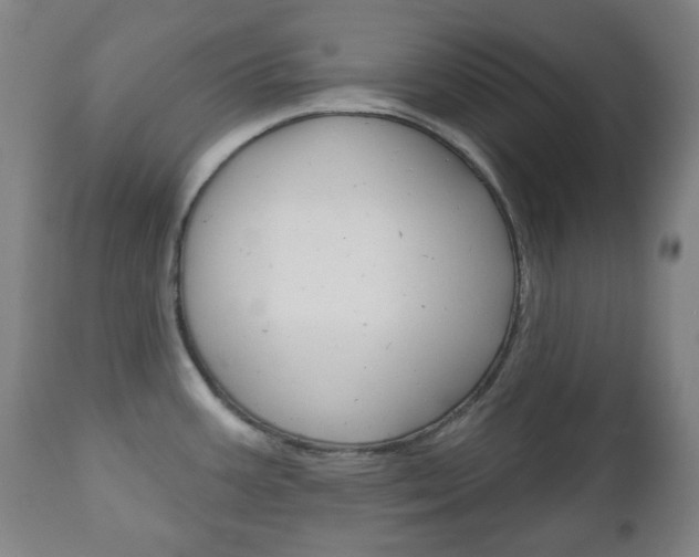 X0000111051387200906251108
