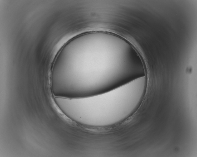 X0000111051388200906251108