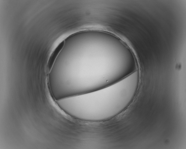 X0000111051389200906251108