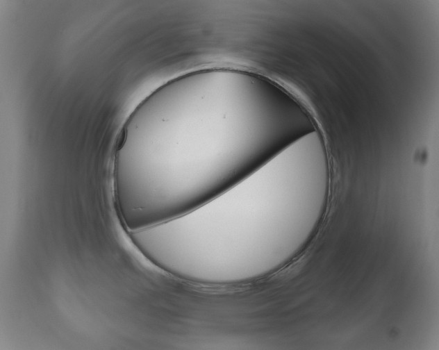 X0000111051391200906251108