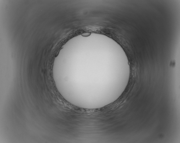 X0000111051393200906251107