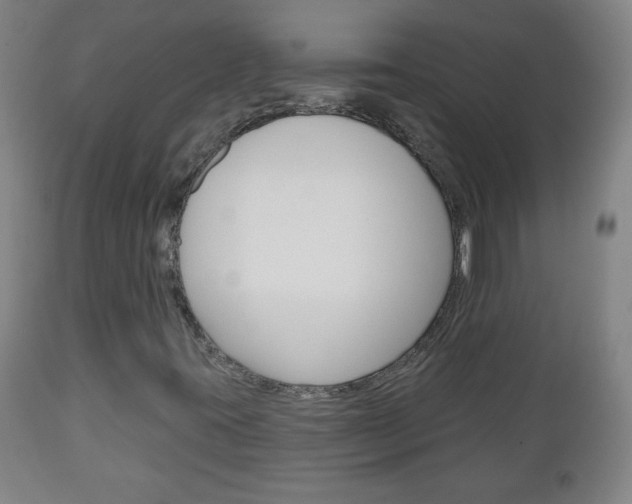 X0000111051395200906251107