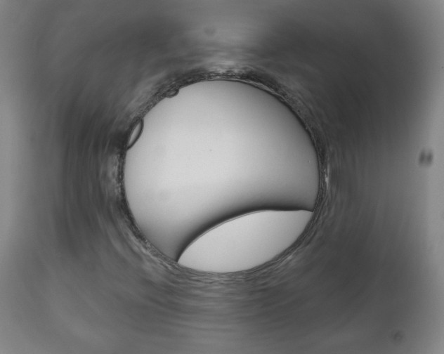 X0000111051396200906251107