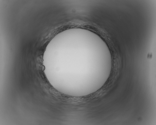 X0000111051397200906251107