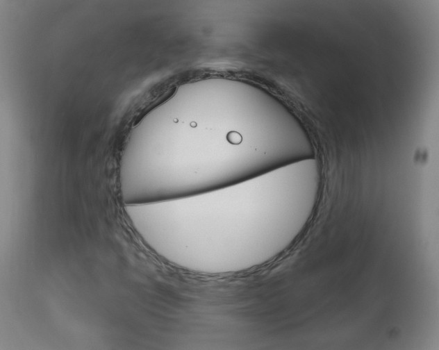 X0000111051398200906251107