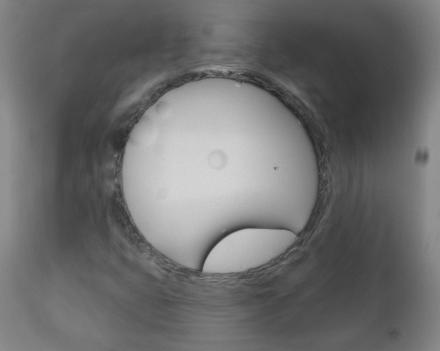 X0000111051399200906251107