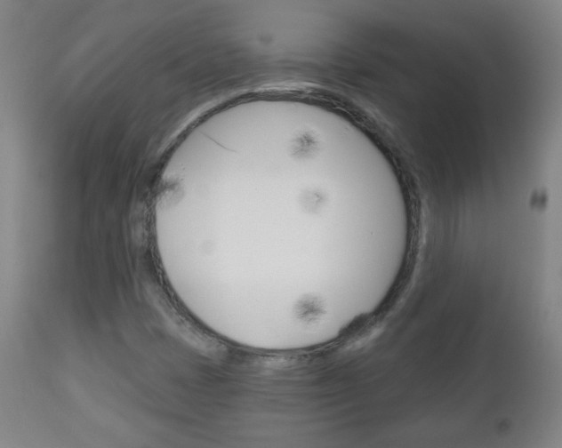 X0000111051401200906251107