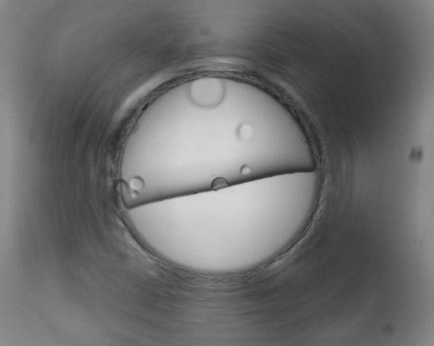 X0000111051402200906251107