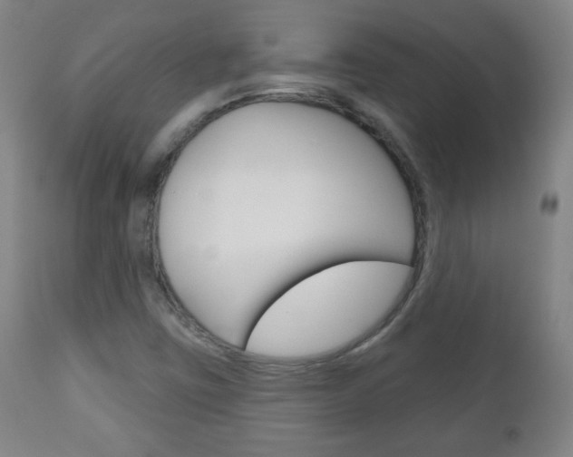 X0000111051403200906251107