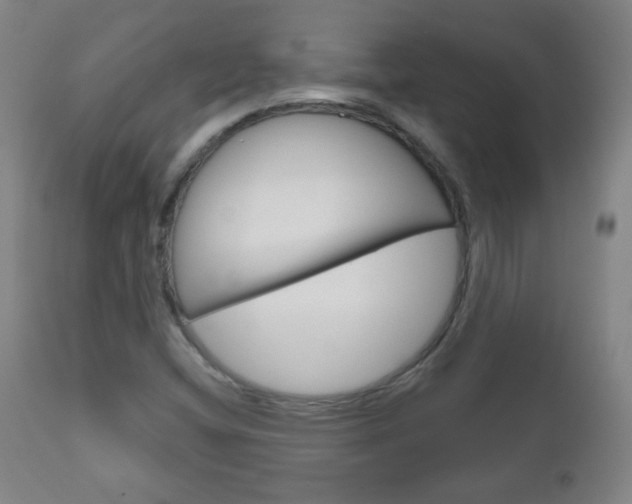 X0000111051404200906251107