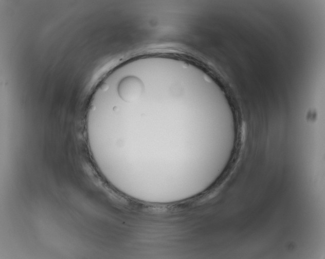 X0000111051405200906251107
