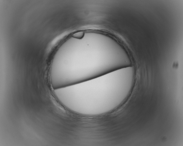 X0000111051406200906251107