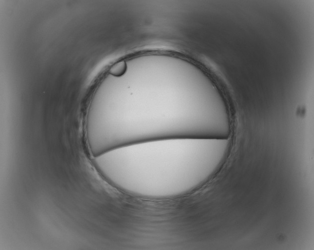 X0000111051408200906251107