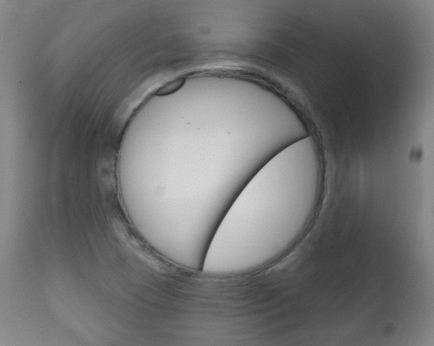 X0000111051409200906251107