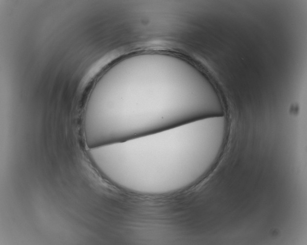 X0000111051410200906251107