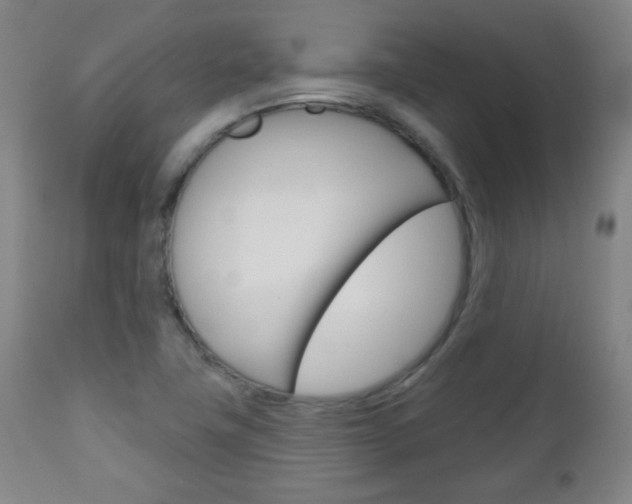 X0000111051411200906251107