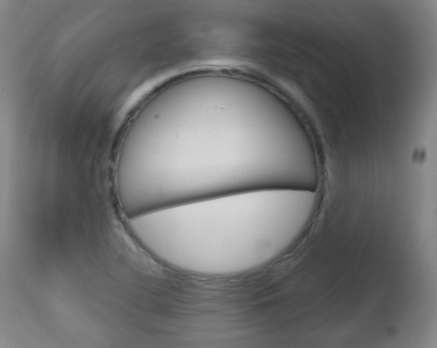 X0000111051412200906251107
