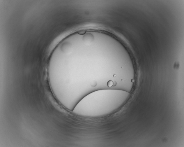 X0000111051413200906251107
