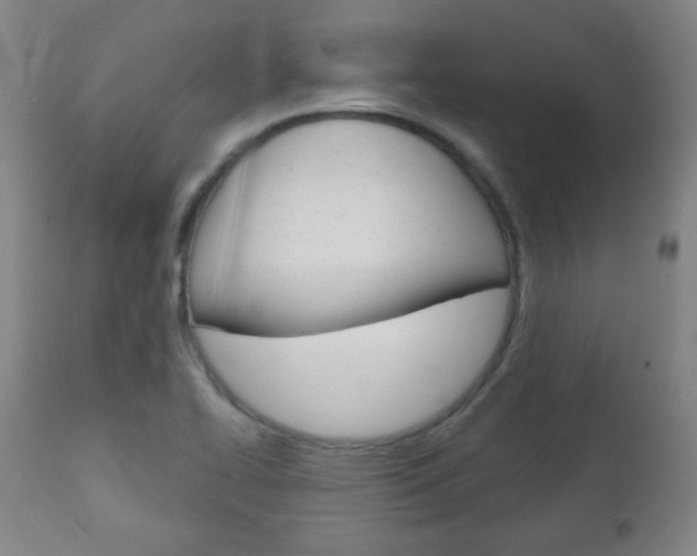 X0000111051414200906251107