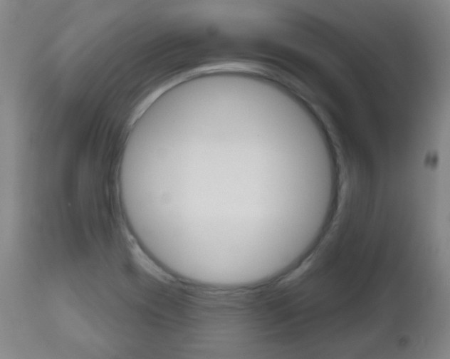 X0000111051417200906251108