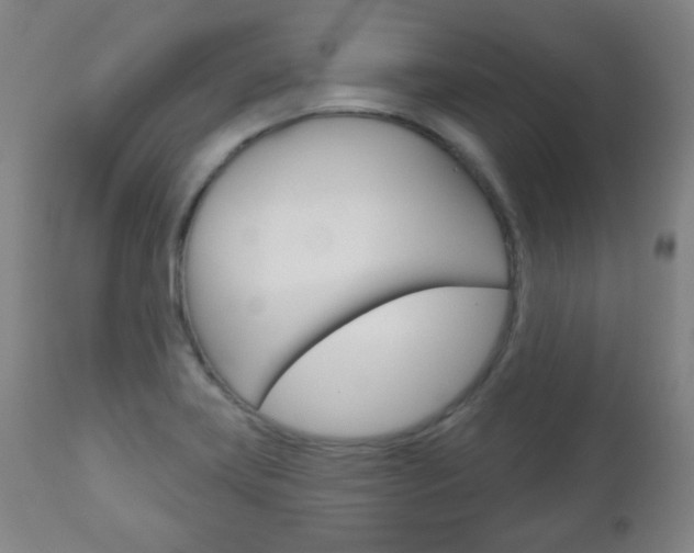 X0000111051419200906251108