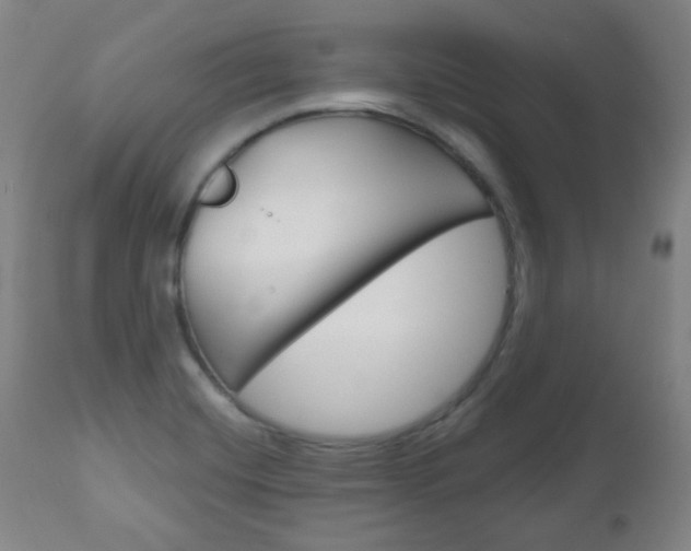 X0000111051420200906251108