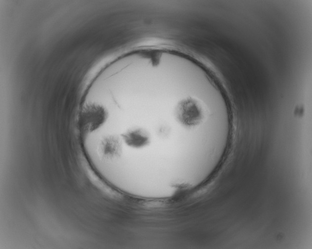 X0000111051421200906251108