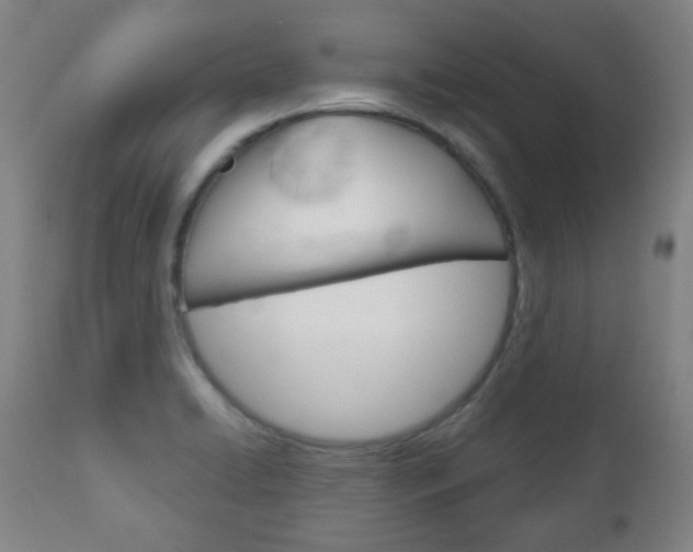 X0000111051422200906251108
