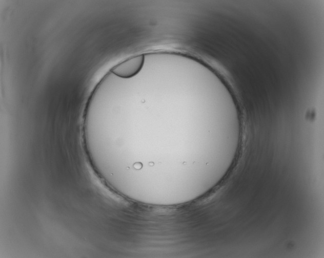 X0000111051423200906251108