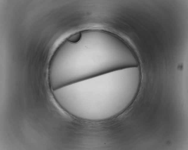 X0000111051424200906251108
