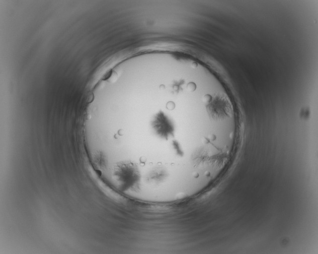 X0000111051425200906251108