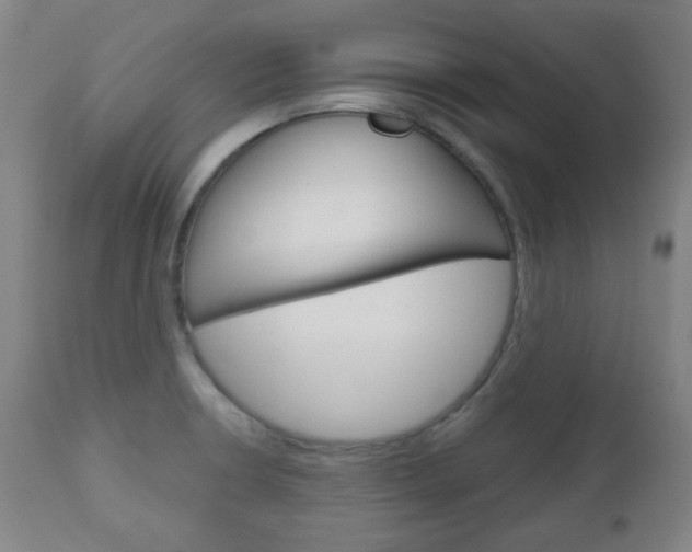 X0000111051426200906251108