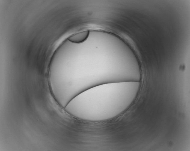 X0000111051427200906251108