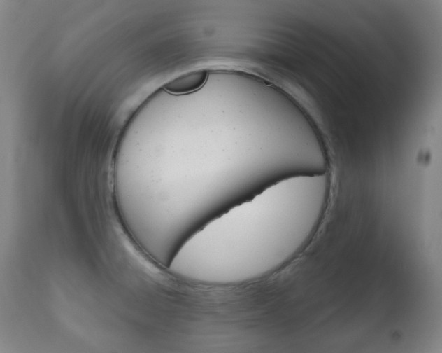 X0000111051428200906251108
