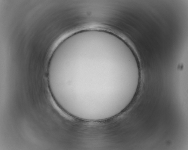 X0000111051429200906251108