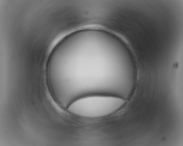 X0000111051430200906251108