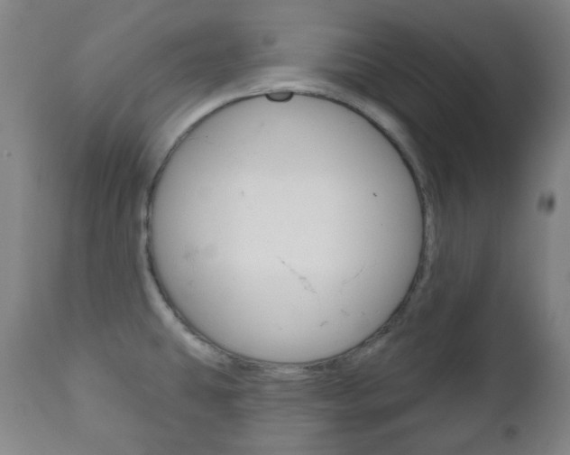 X0000111051431200906251108